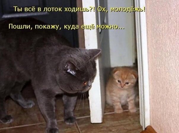    - 8  2021  12:22