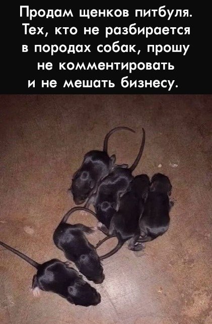     ,  
