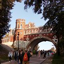 ���� ������, �����, 63 ���� - ��������� 20 ������� 2020 � ������ ���� ����������