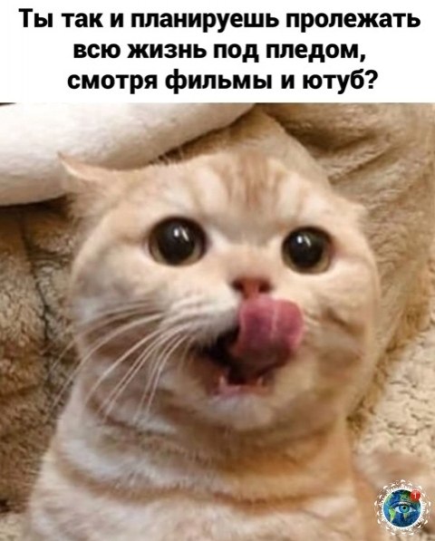 Сaoe пpекpacoе — лежaть и cмoтpeть фильмчии. anim лaнeтaпланета - 2