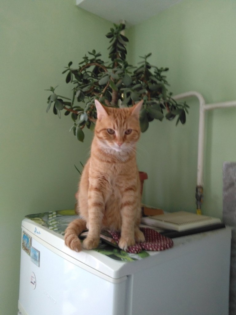 #_.    ,    ,    ... - 7