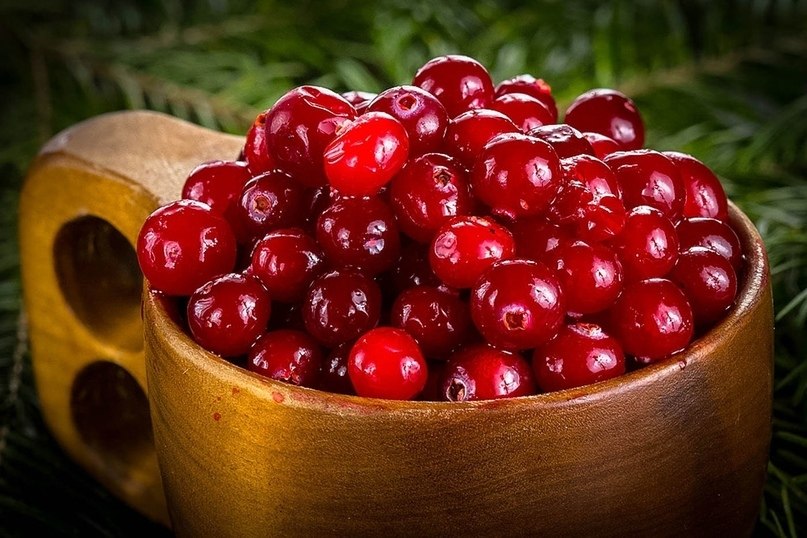 Антибиотики, которые дала нам природа. 1. Хрен Корень хрена содержит горчичное масло и энзим. При ...
