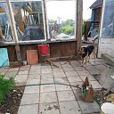 ���� ��������, ���������, 53 ���� - ��������� 4 ������ 2020 � ������ ���� ����������