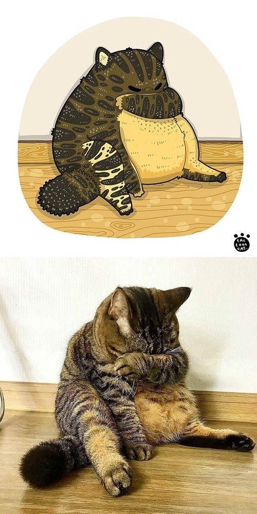       Tactooncat