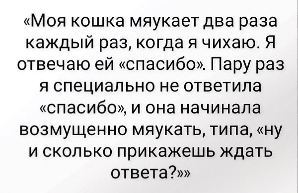       - 22  2021  11:06