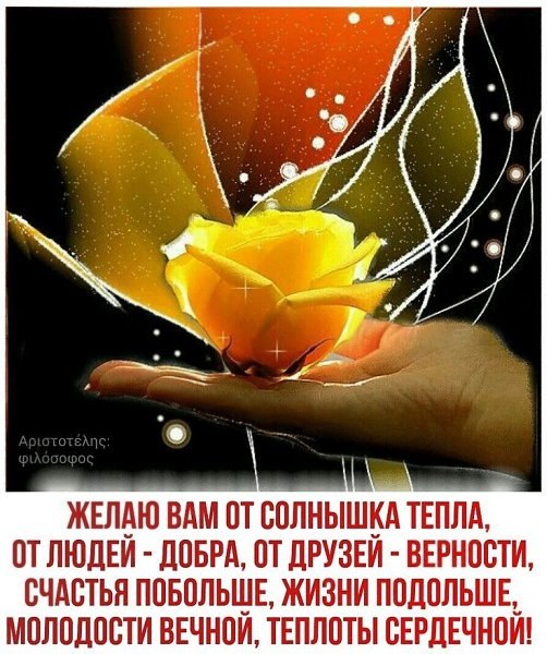   ,    . - 10  2020  23:14 - 2