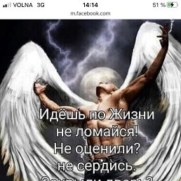 ���� �������, ����, 55 ��� - ��������� 23 ������ 2020