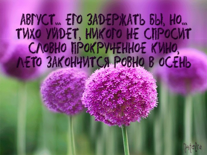   ,    . - 16  2020  20:09