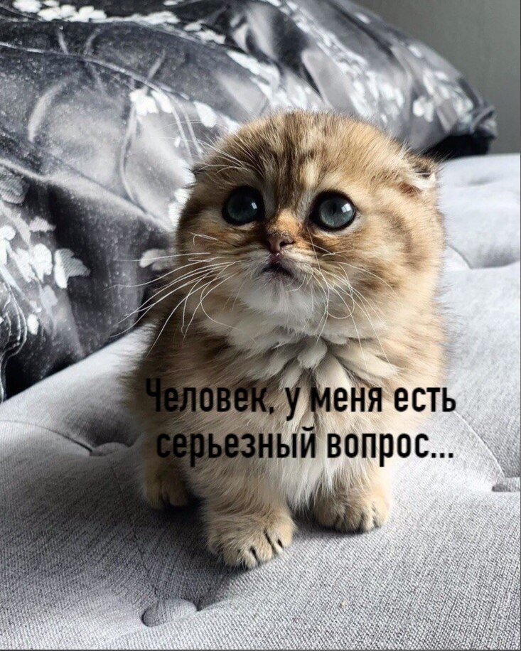       - 22  2020  18:42