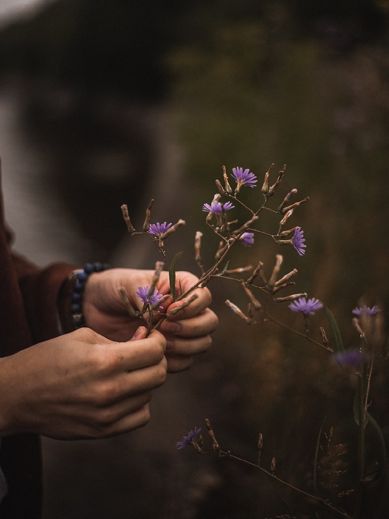 Ph: [id284466930|@kircameraman] - 2