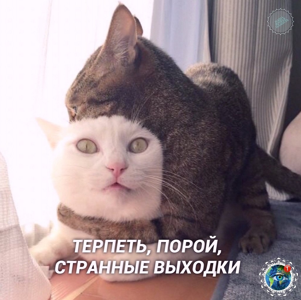 �a� �o� �� �a�a� ����� c�����a�.������� - 6