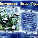 ���� �����, ������, 55 ��� - ��������� 22 ������� 2020 � ������ ���� ����������