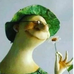 ����������, �����������