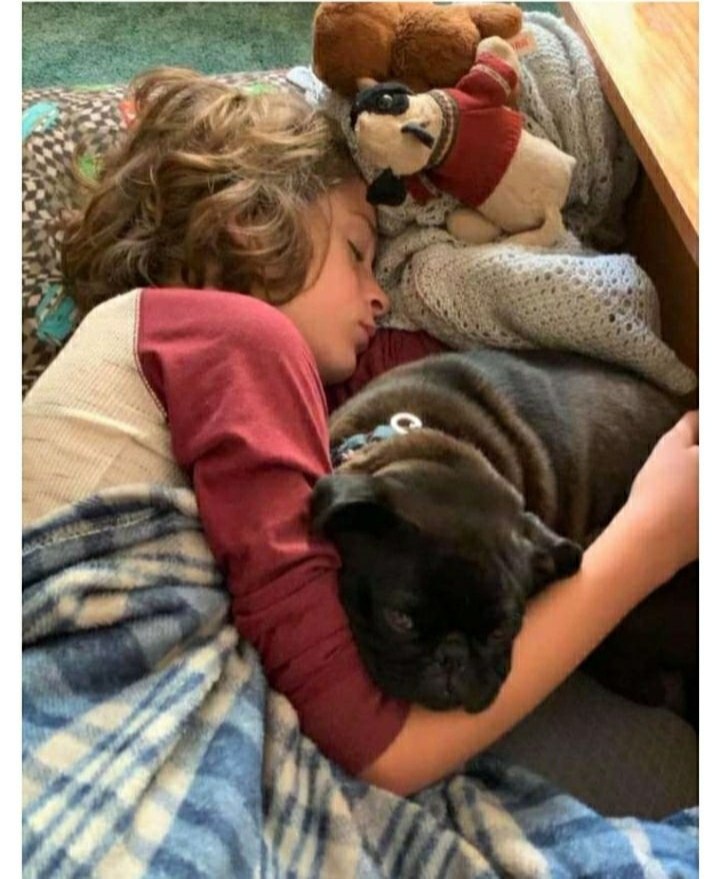    -  ,   .   , ...