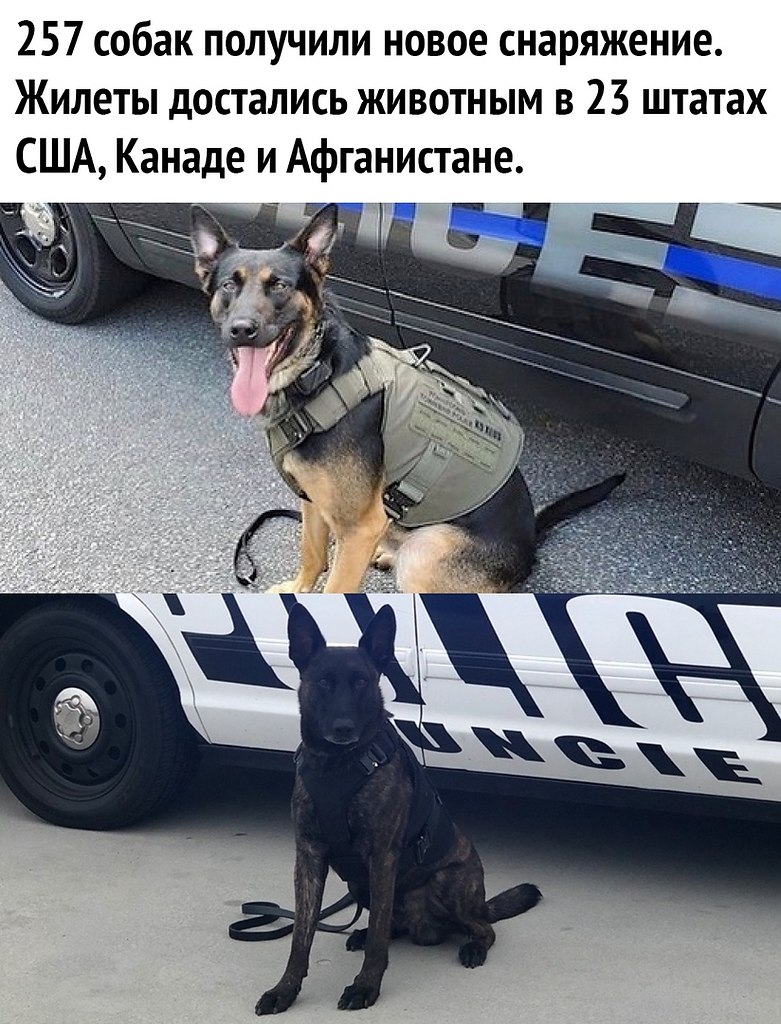    . - 3