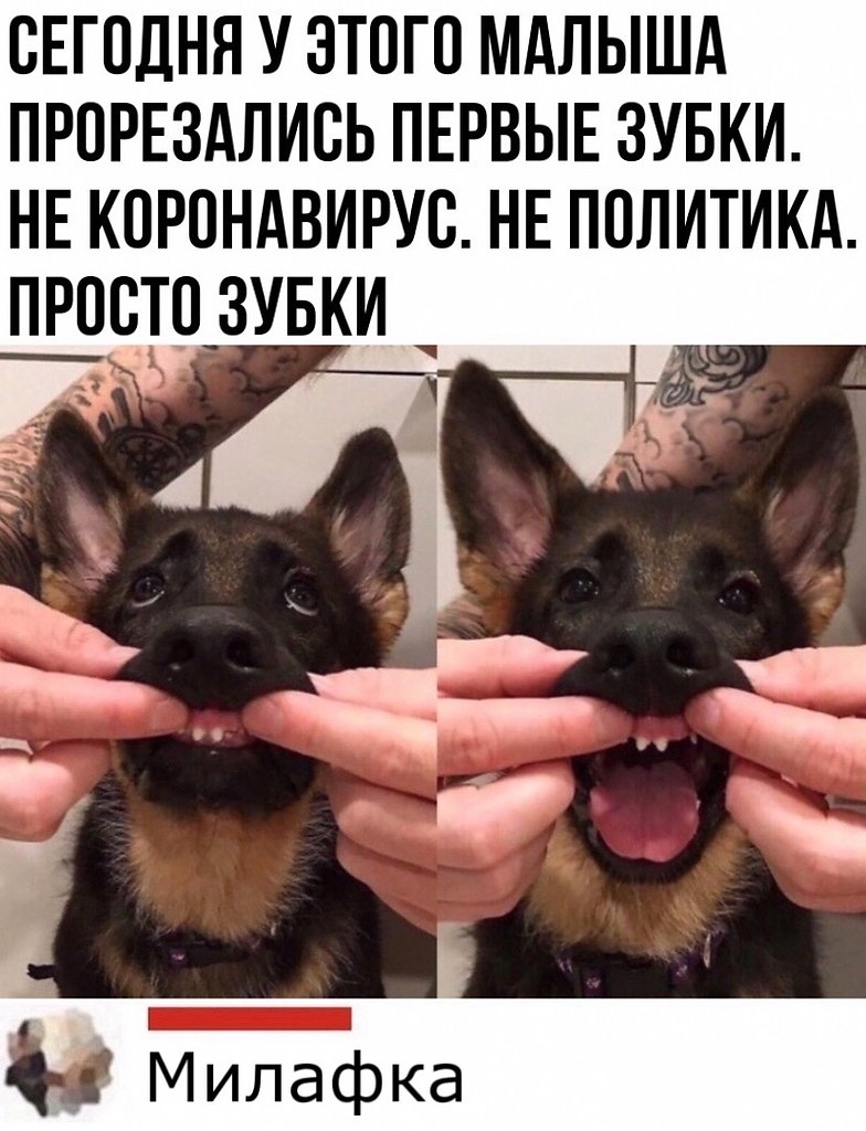     ?)