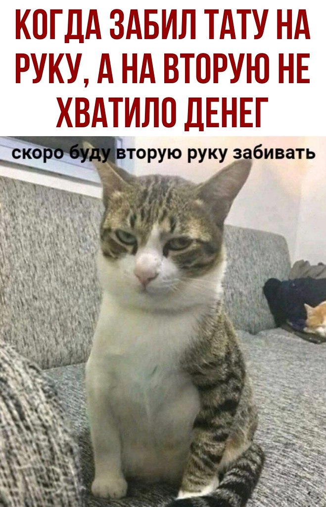  - 10  2020  18:41