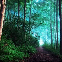 �, ������