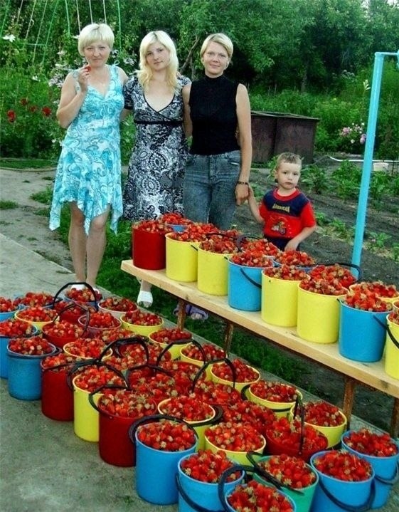 Bo o ypoa! e  