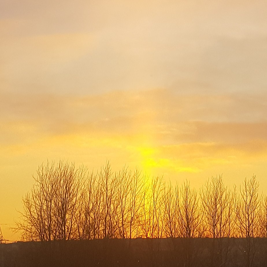 Eili - 18  2021  11:52