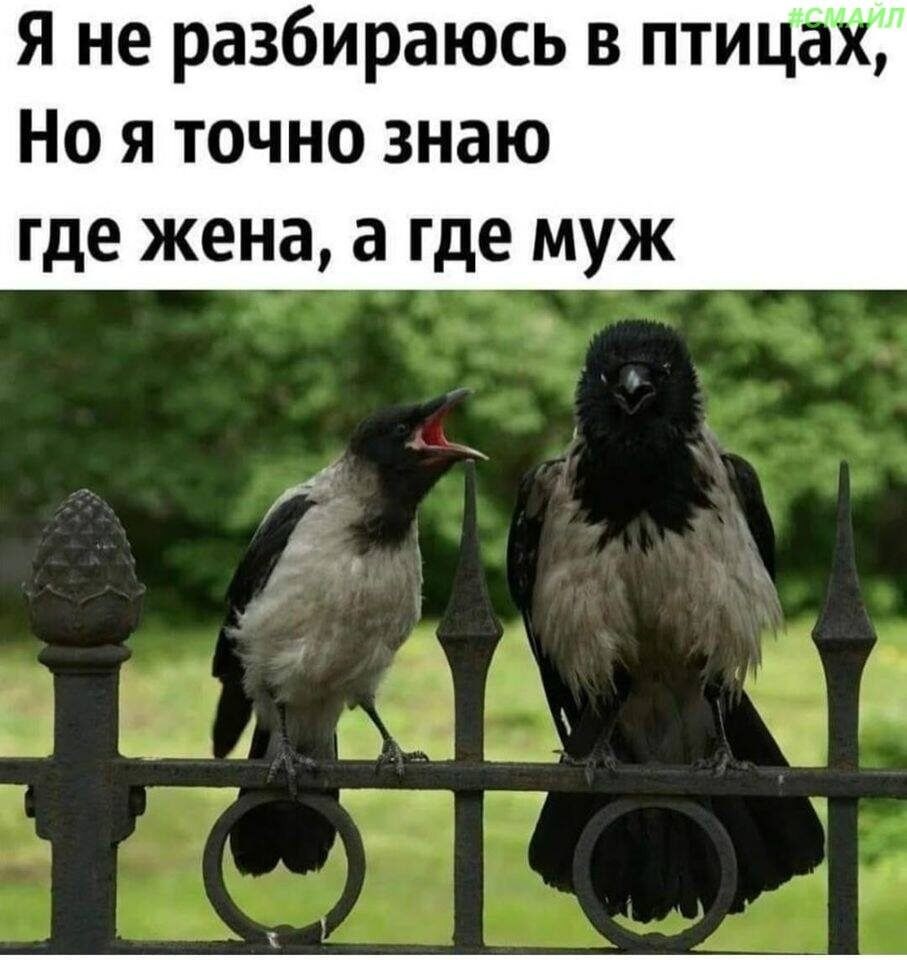  (   ) - 29  2020  08:08