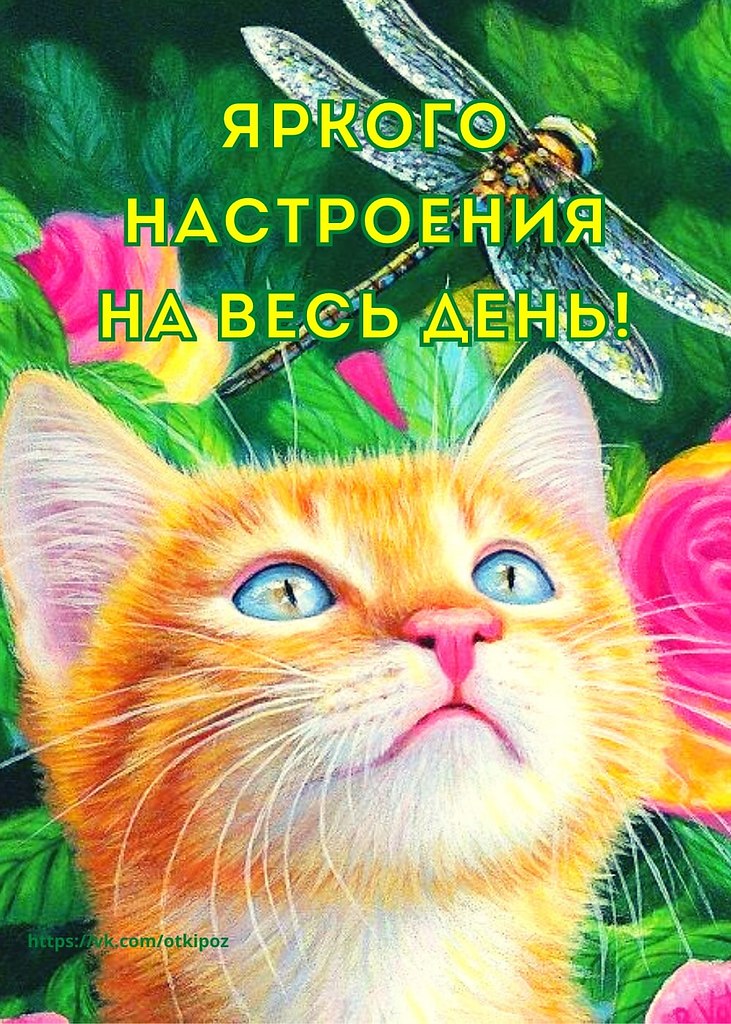   ,    . - 18  2020  00:23 - 4