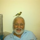 ���� Abdallah, �������� - ��������� 11 ������ 2020