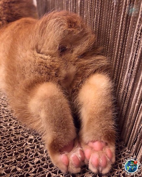 a o oo op oc, o a o.ee oeo.