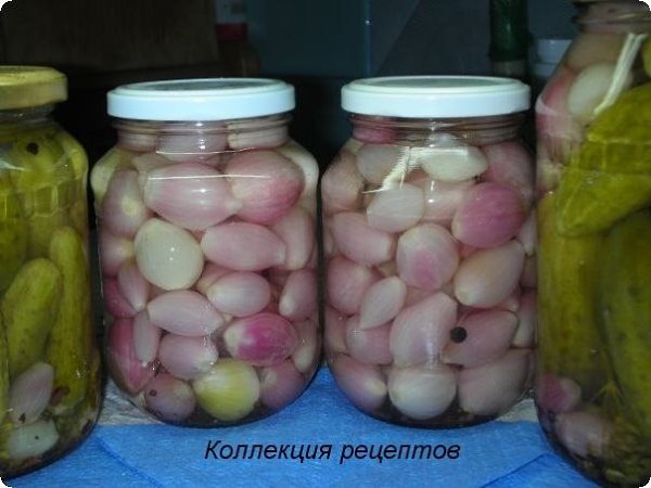 #заготовки.Лук маринованный.Взять самый мелкий лук, очистить, ошпарить кипятком, уложить в ...