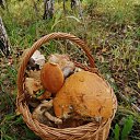 �������� 30.08.2020 �� ������� ���� ����������