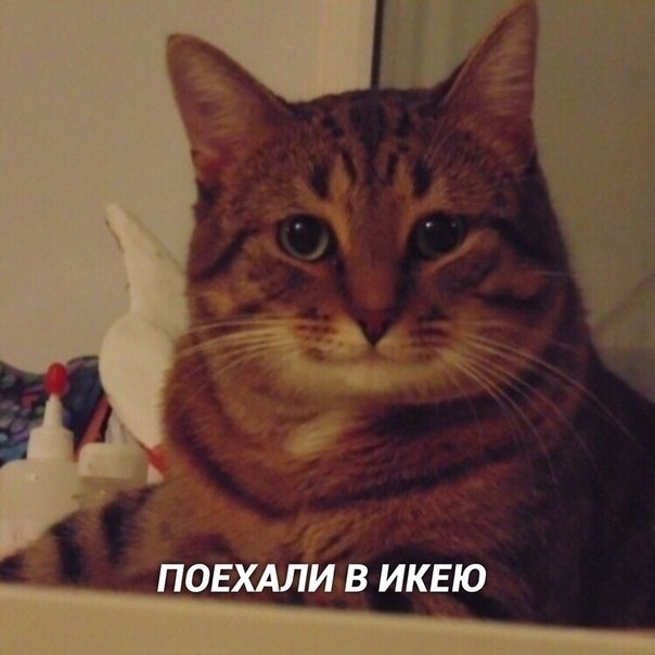       ,        )