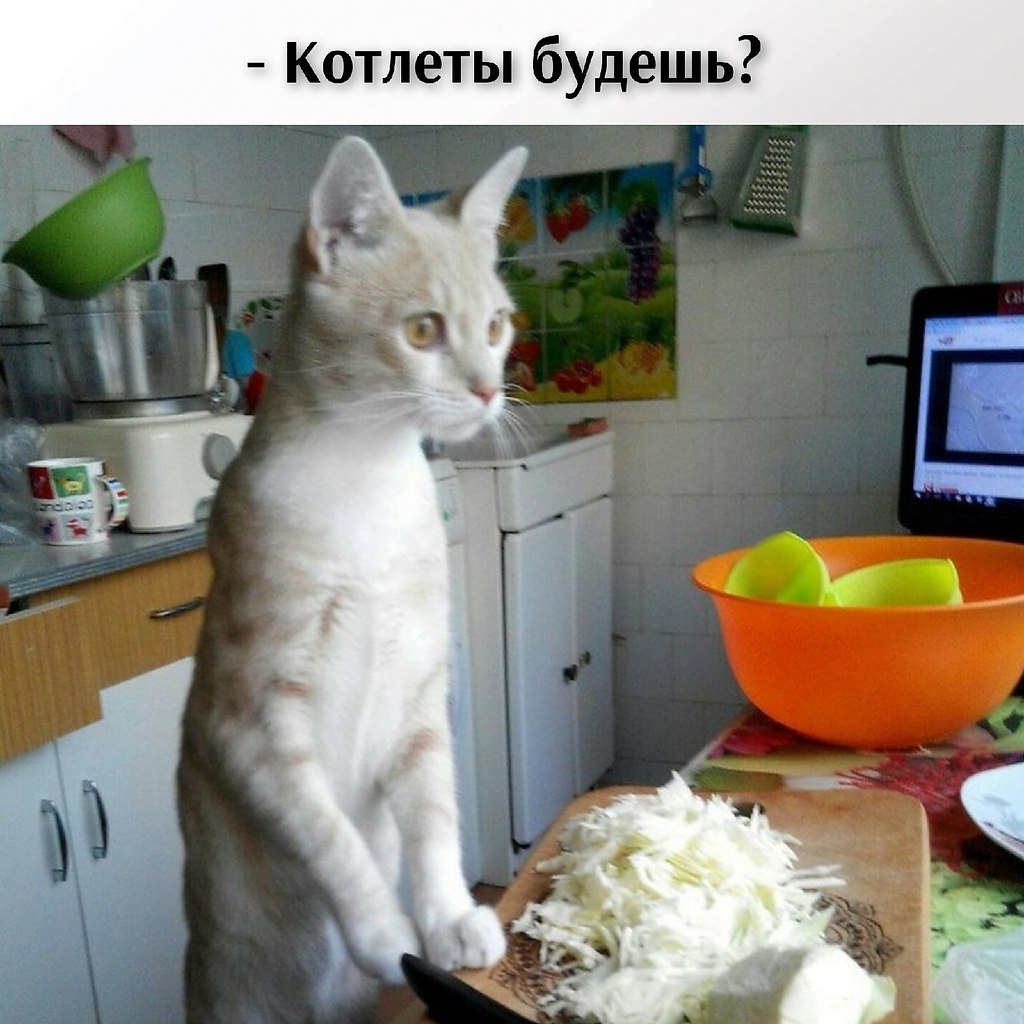       - 24  2021  11:50