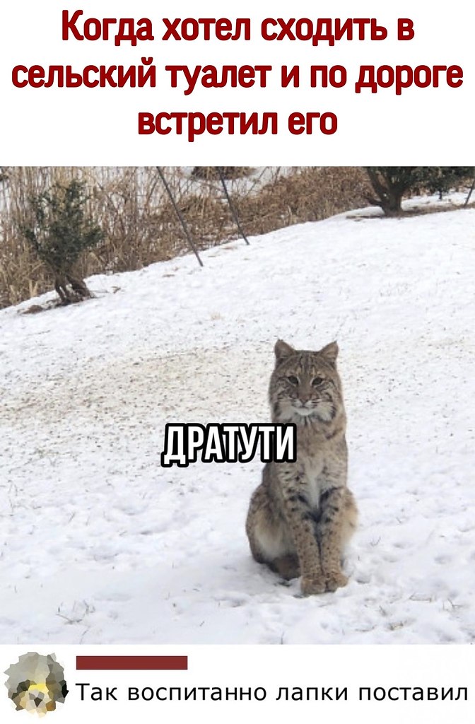 ������ - 16 ������ 2021 � 14:58