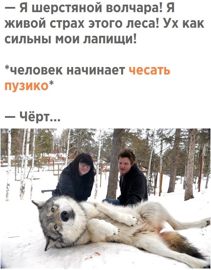  .