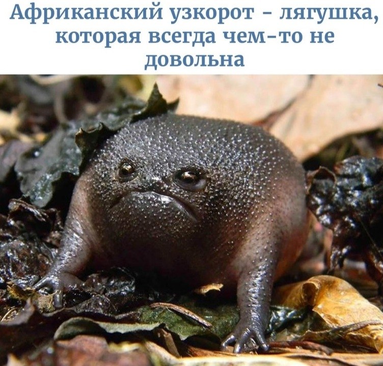 LIFE -  - 5  2020  18:32