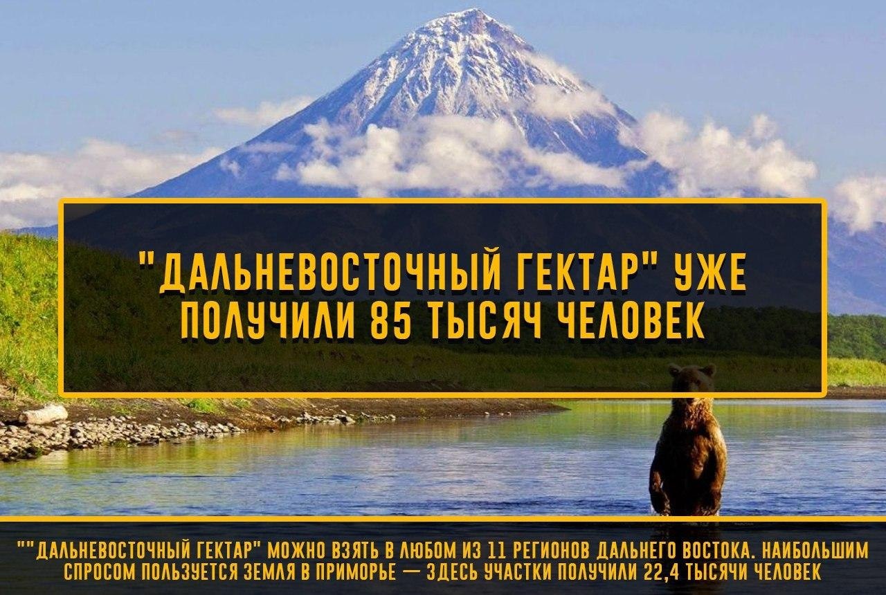 ������ ������� ������ | ����������� - 23 �������� 2020 � 19:10
