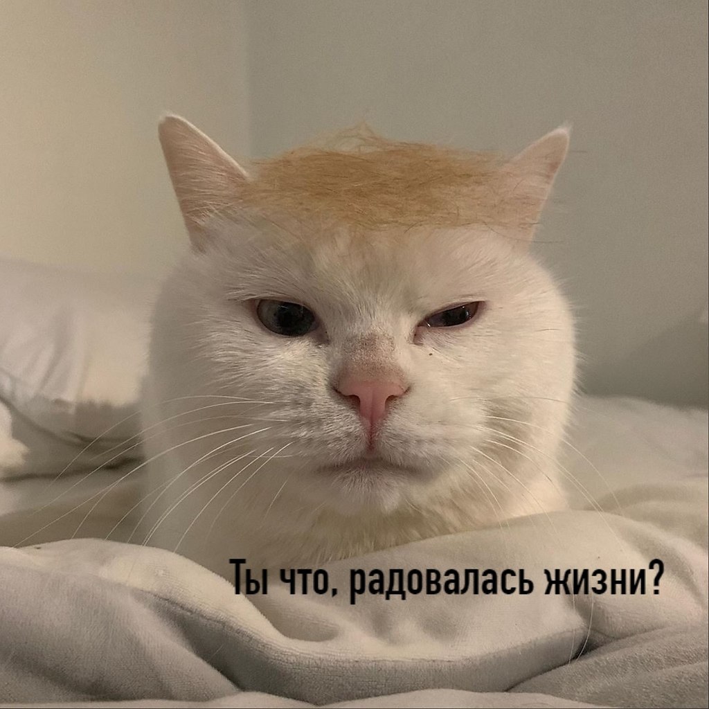       - 23  2020  18:32 - 2