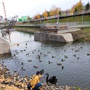 ���� ������, ��������, 45 ��� - ��������� 19 ������� 2020 � ������ ������������