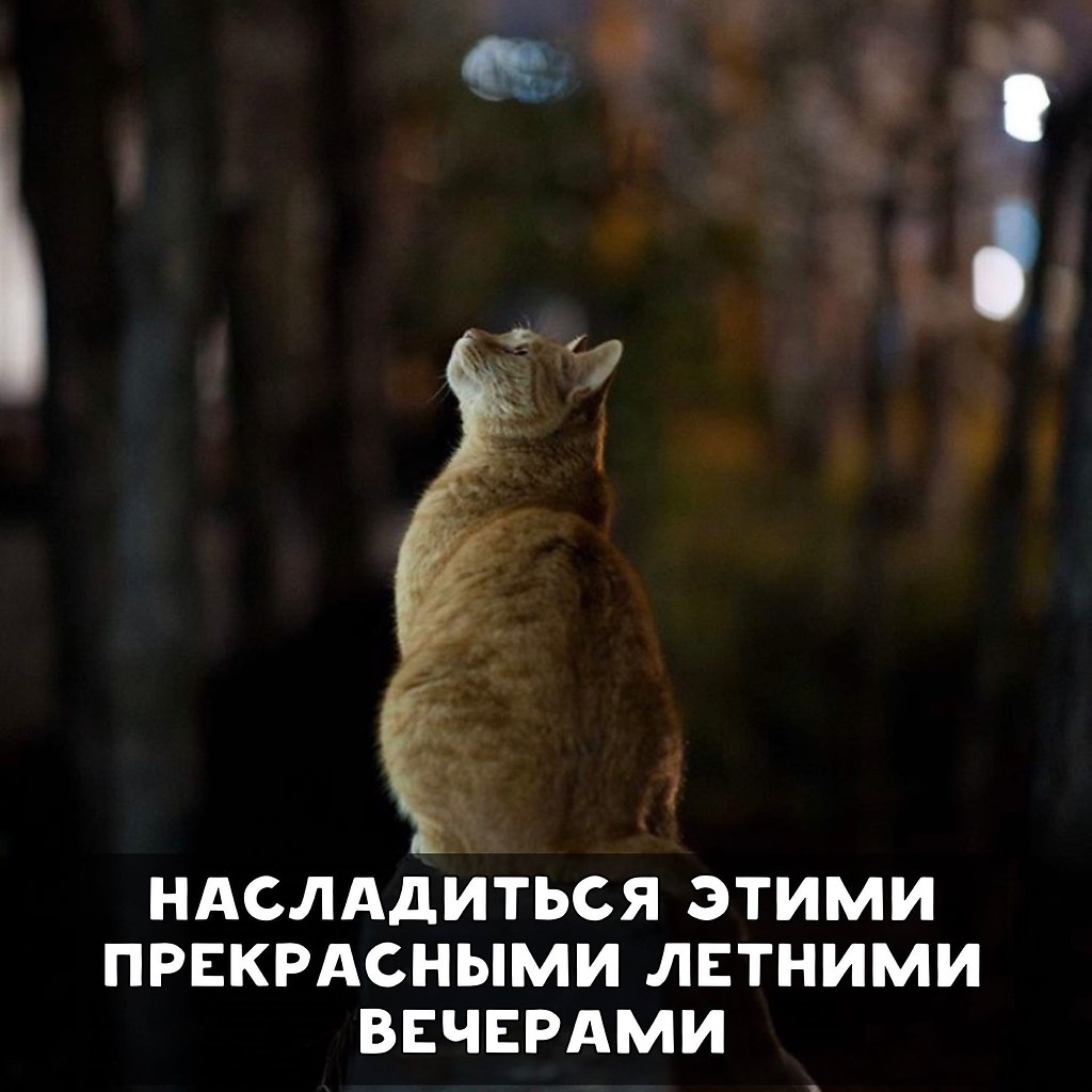     - 2