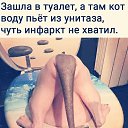  , , 34  -  22  2020    