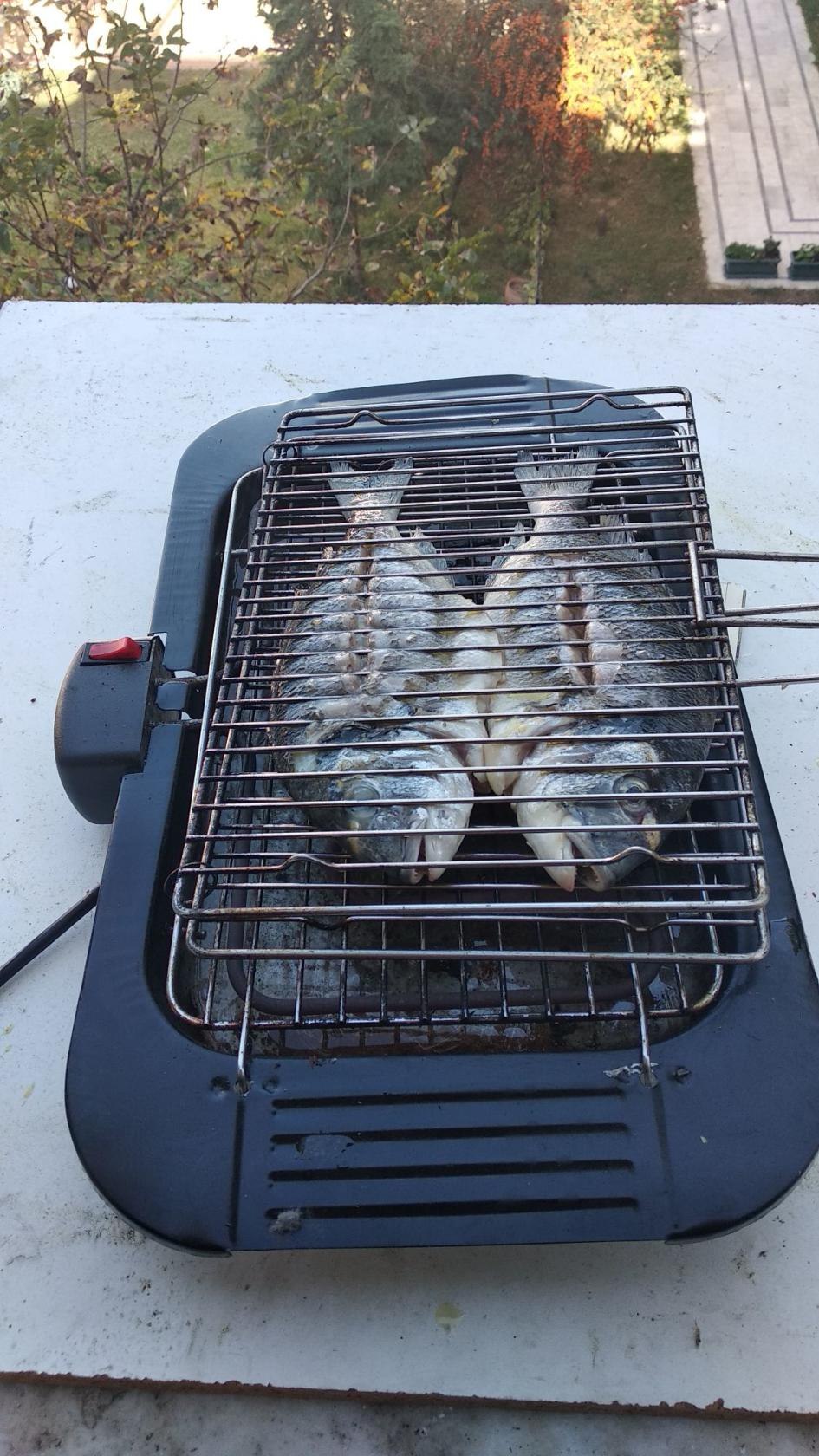 Errol Aslan - 23  2020  12:46 - 9