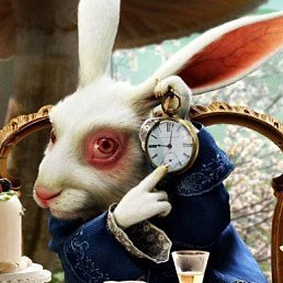 ��������, ���������, 55 ���