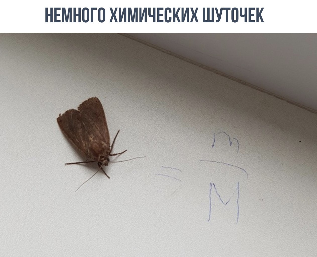    - 5  2020  18:58