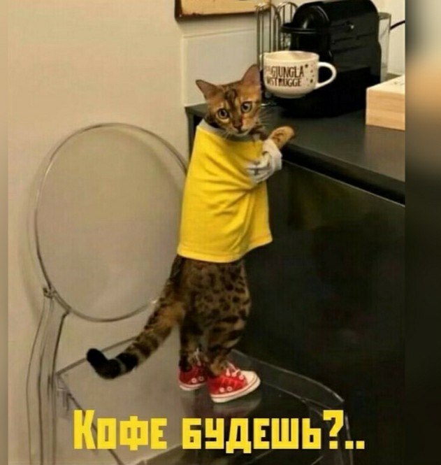  - 11  2020  06:31