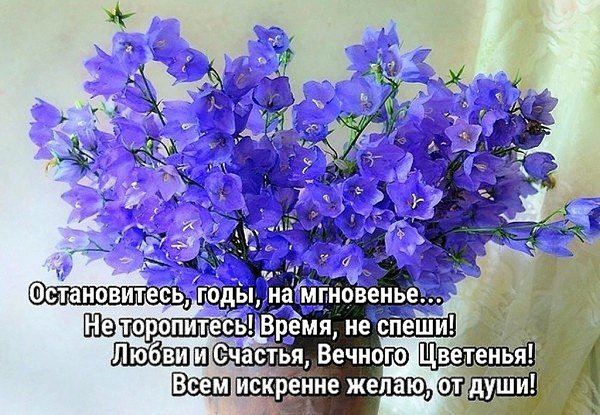   ,    . - 8  2020  09:39