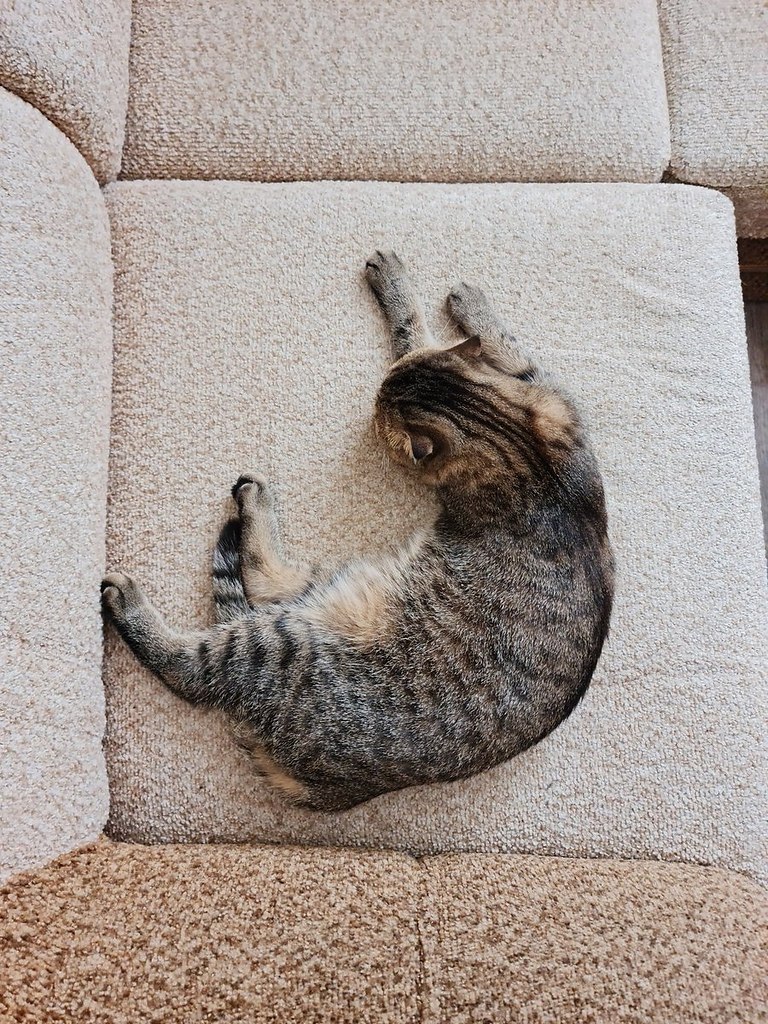   :     3D.    - 5