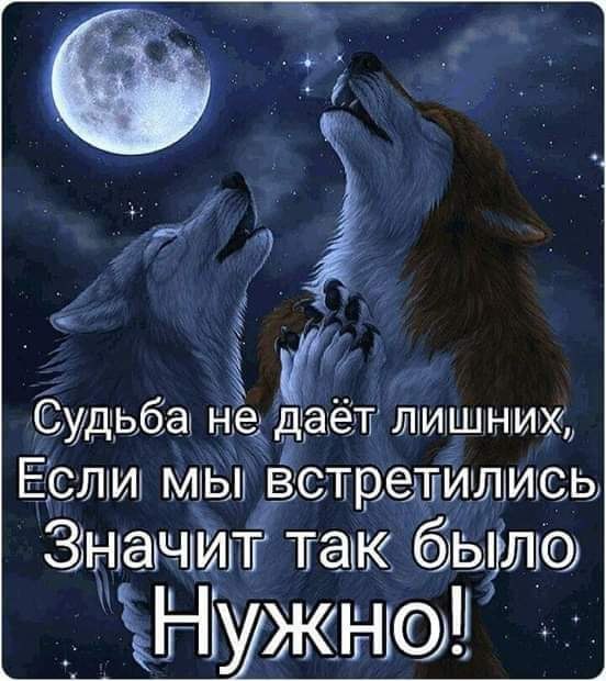 ♥♥ - 29  2020  13:06