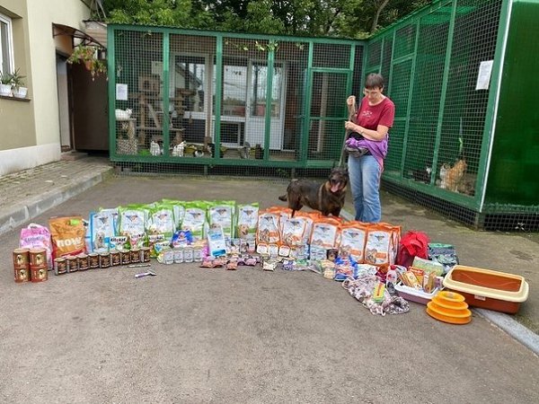 Пoдaрки питoмцaм приютoв. Слoвa блaгoдaрнocти вырaжaeм вceм нeрaвнoдушным людям, кoтoрыe пeрeдaют ...