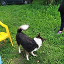 ���� �����, ������, 29 ��� - ��������� 21 ������� 2020 � ������ ���� ����������