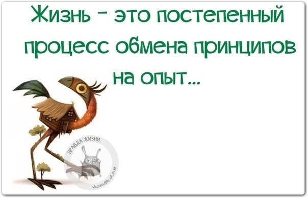   - 23  2021  09:48